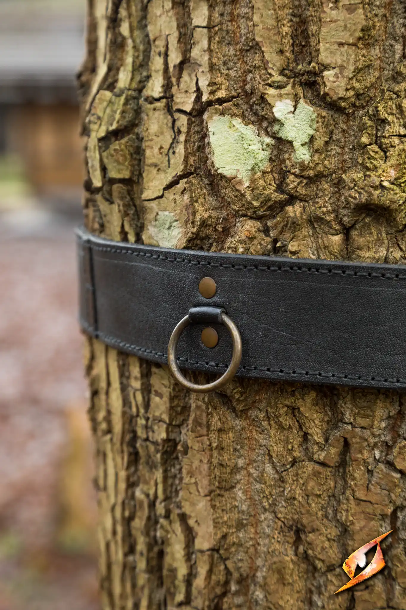 Ring Belt - Image 9