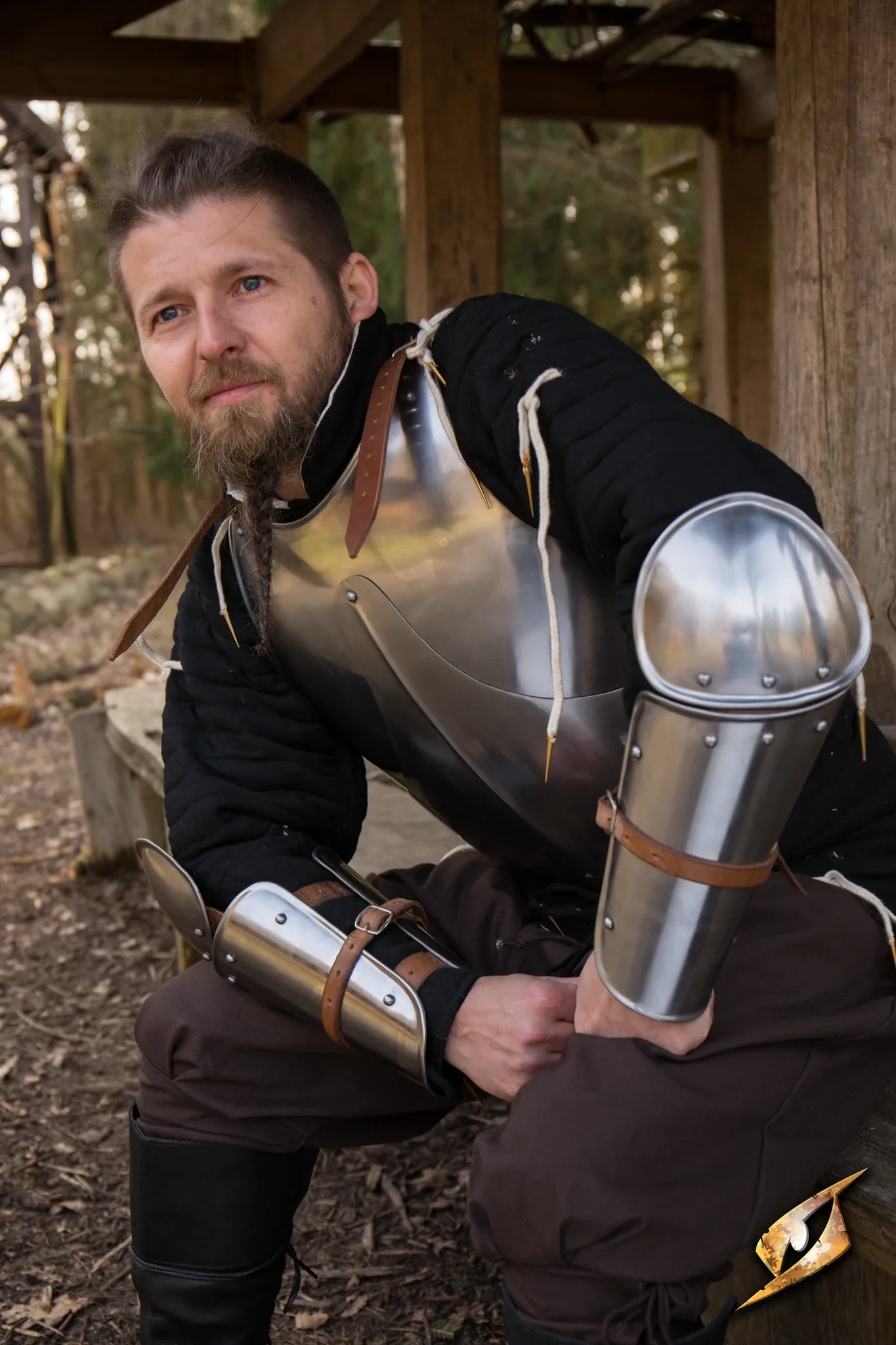 Enclosed Arm Protection - Polished Steel - Image 2