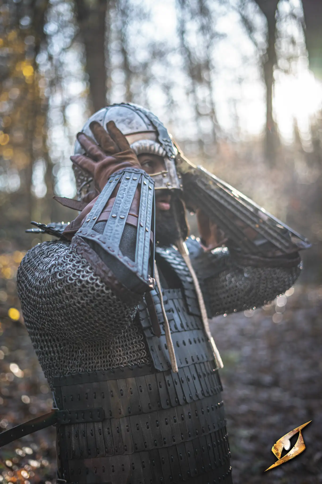 Viking Arm Protection - Image 11