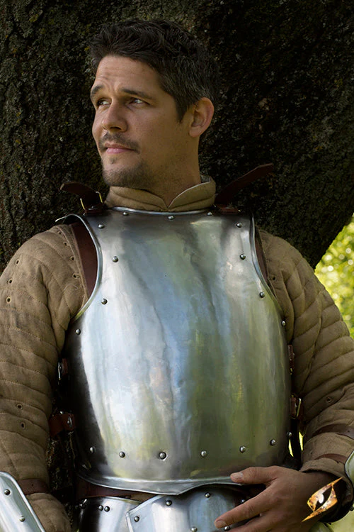 Breast Plate Warrior - Image 2