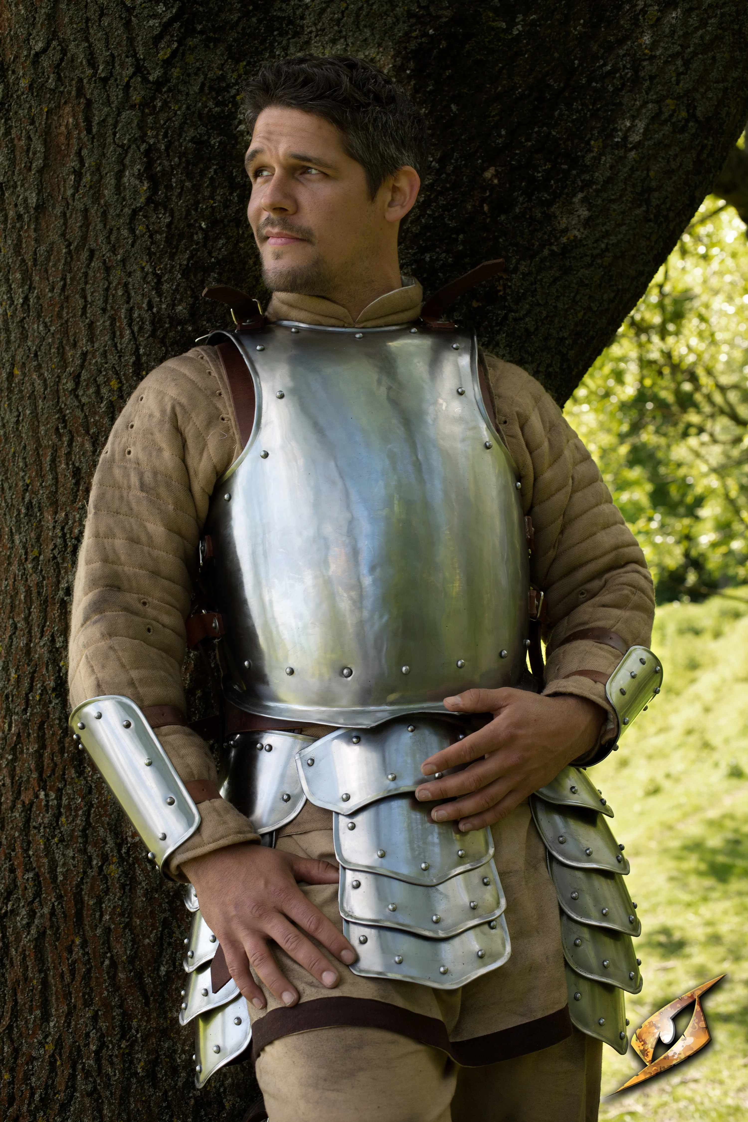 Breast Plate Warrior - Image 9