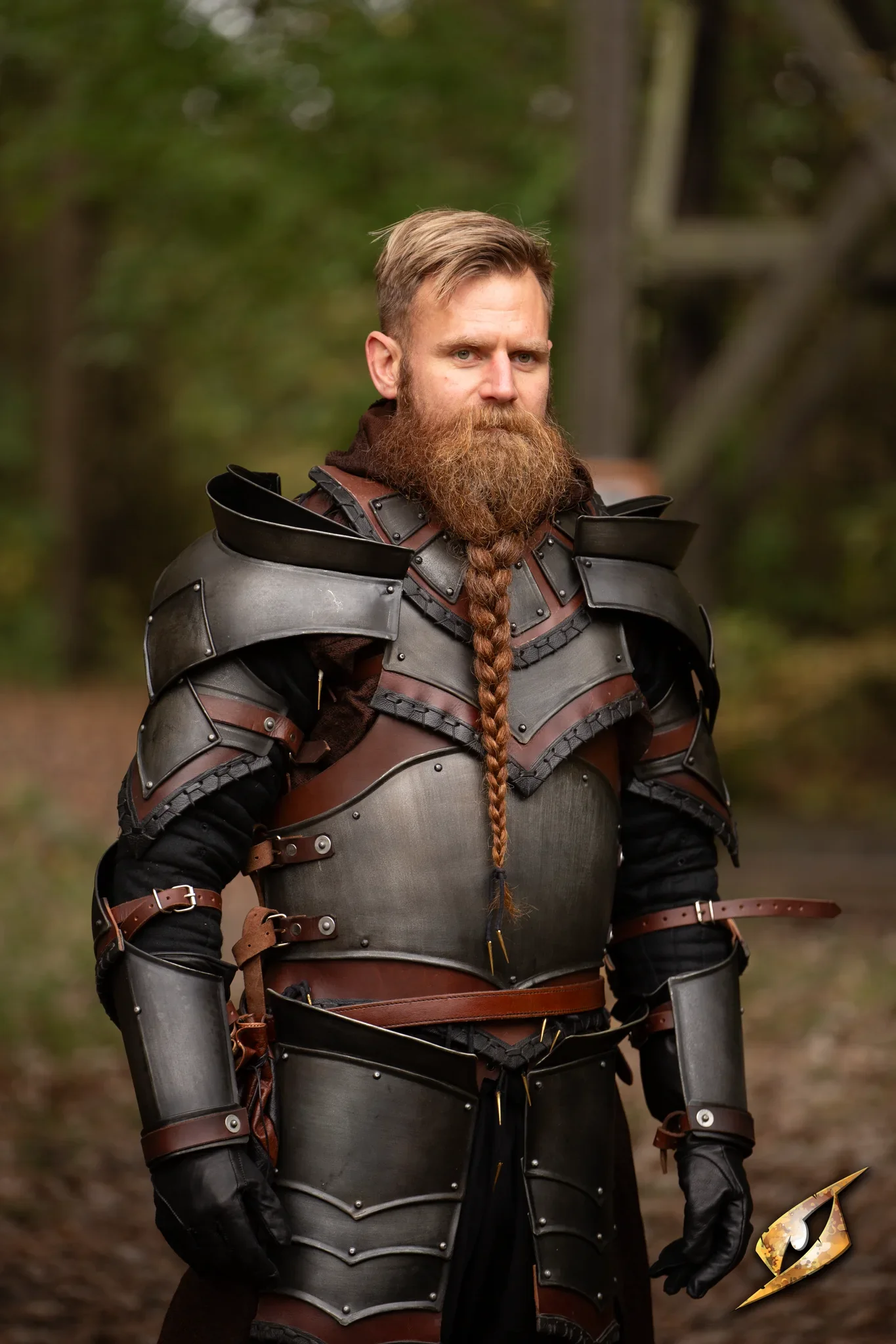 Rogue Complete Armour - Image 2