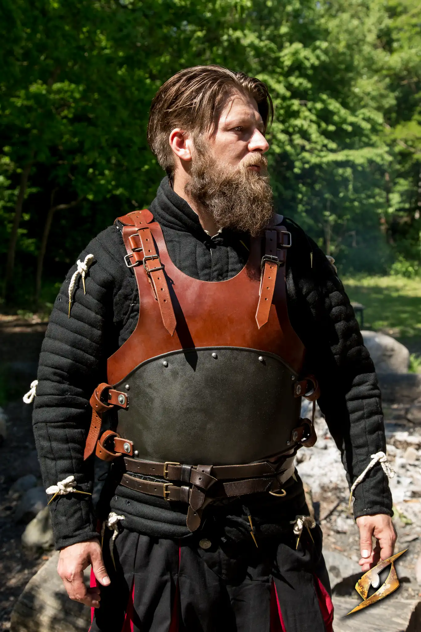 Rogue Complete Armour - Image 7